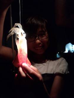 アジュール舞子～西舞子　ファミリーでのエギ…