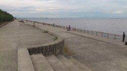 南芦屋浜　タコはサイズも数も満足釣果