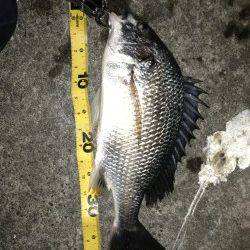 状況の悪い中計6枚！舞洲でチニング