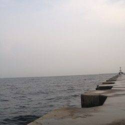 南芦屋浜サビキでの釣果、風が強く、波が荒かった