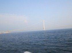 大蔵海岸　胴突きでアジ・ベラなど魚種多彩に楽しめる