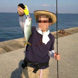 神戸港8防　ルアーでサバ12匹＆ツバス・アジ