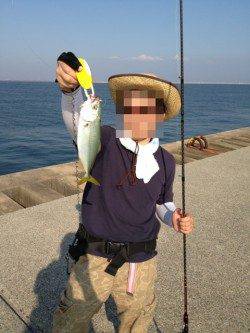 神戸港8防　ルアーでサバ12匹＆ツバス・アジ