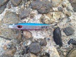 小型ブレードをしゃくってカマスHIT！岸和田