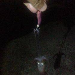 アジュール舞子〜西舞子　エギングでケンサキ18ハイ　岸壁に近い所でヒット