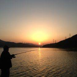 久々子　朝間詰前にルアーでシーバス29cm