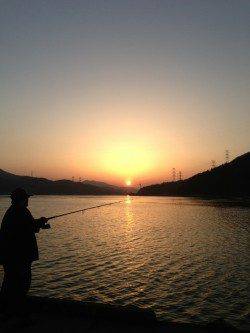 久々子　朝間詰前にルアーでシーバス29cm