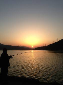 久々子　朝間詰前にルアーでシーバス29cm…