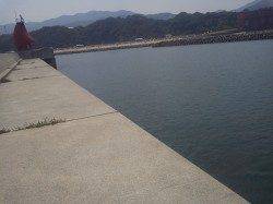 淡輪ヨットハーバー、活性高めでアオリ9杯ＧＥＴ！