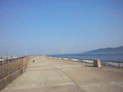 林崎漁港　ちょい投げでキュウセン＆コチ