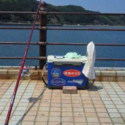 洲本　投げ釣りでキス〜22cm22匹　チャリコはリリース