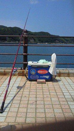 洲本　投げ釣りでキス〜22cm22匹　チャリコはリリース