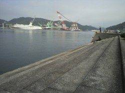 野瀬埠頭　フカセ釣りでチヌ　豆アジも好調