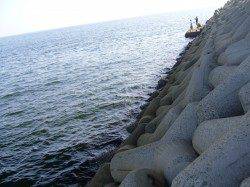 りんくう　ジギングサビキでカマス＆豆アジ　周りも渋い様子…