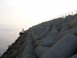 りんくう　ジギングサビキでメバル＆カマス