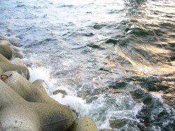 りんくうエリア、ジグサビキでカマス等の釣果