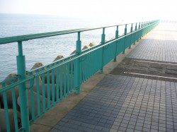 りんくうで朝のジギングサビキ釣果☆