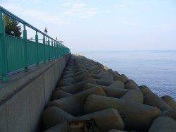 りんくうエリアでジグサビキ、カマスの釣果