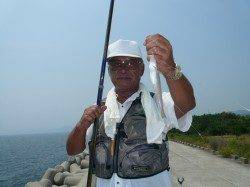 佐野での引き釣り釣果　キス〜19cm×19匹