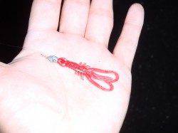 大阪南港　チニングでキビレ〜40cm10枚＆チヌ44cm