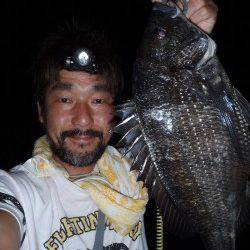 大阪南港　チニングでキビレ〜40cm10枚＆チヌ44cm