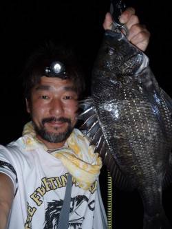 大阪南港　チニングでキビレ〜40cm10枚…