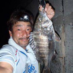 舞洲　チニングでチヌ42cm＆キビレ