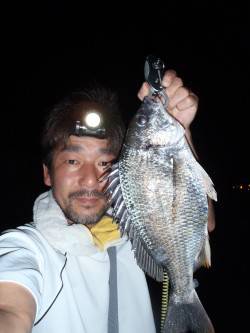 大阪南港でチニング　チヌ11枚と快釣！