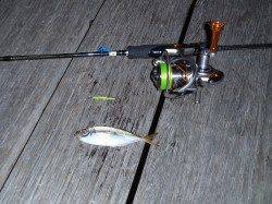 舞洲アジング、アタリは星の数ほどあります