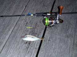 舞洲アジング、アタリは星の数ほどあります