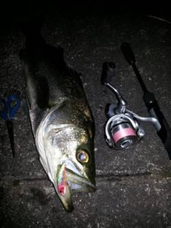 紀ノ川河口　メバリングでスーパーライトシー…