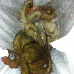 大阪南港でオクトパッシング、タコ7杯の釣果