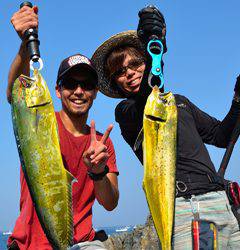 ショアから手軽でエキサイティング！シイラのトップゲーム【たかぼ氏連載記事No.04】