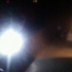 本荘人工島、ウキ釣りでハネ50cm！