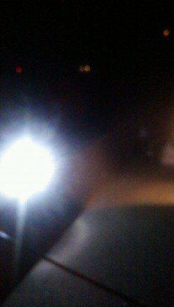 本荘人工島、ウキ釣りでハネ50cm！