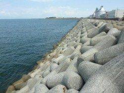 ホクシン前テトラで荒食い！！