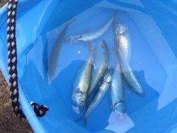 お昼は橋下が涼しい!】南芦屋浜