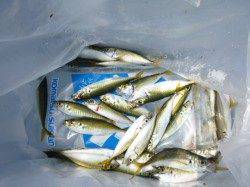 アジュール舞子RT【カワハギ・アジ編】