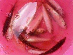 ◇砂上げ場で小アジ好調◇泉大津　昼ＲＴ２９日