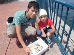 ☆高級魚と小アジ☆泉大津　昼RT　１１日