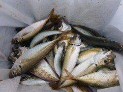 北公園、小野浜ＲＴ