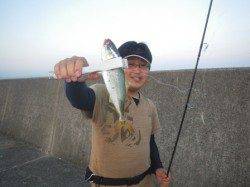 本日【19日】も岸和田一文字ツバス回遊中♪