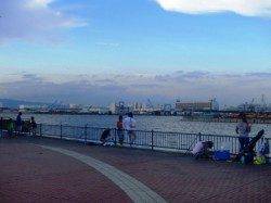 なぎさ公園は順調に♪泉大津RT。夕方