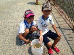 【サビキ釣りでアジにウルメイワシ】南芦屋浜
