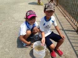 【サビキ釣りでアジにウルメイワシ】南芦屋浜…