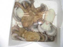 貝塚人工島のタコ釣り情報！