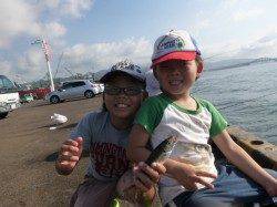 兵庫突堤　マアジがサイズアップ