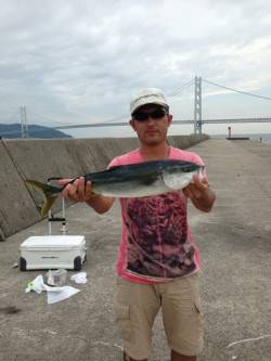 タルイチでメジロ！