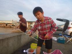 朝の兵庫突堤　サビキ天国