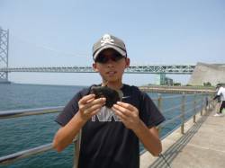 アジュール舞子ＲＴ【カワハギ・アジ編】